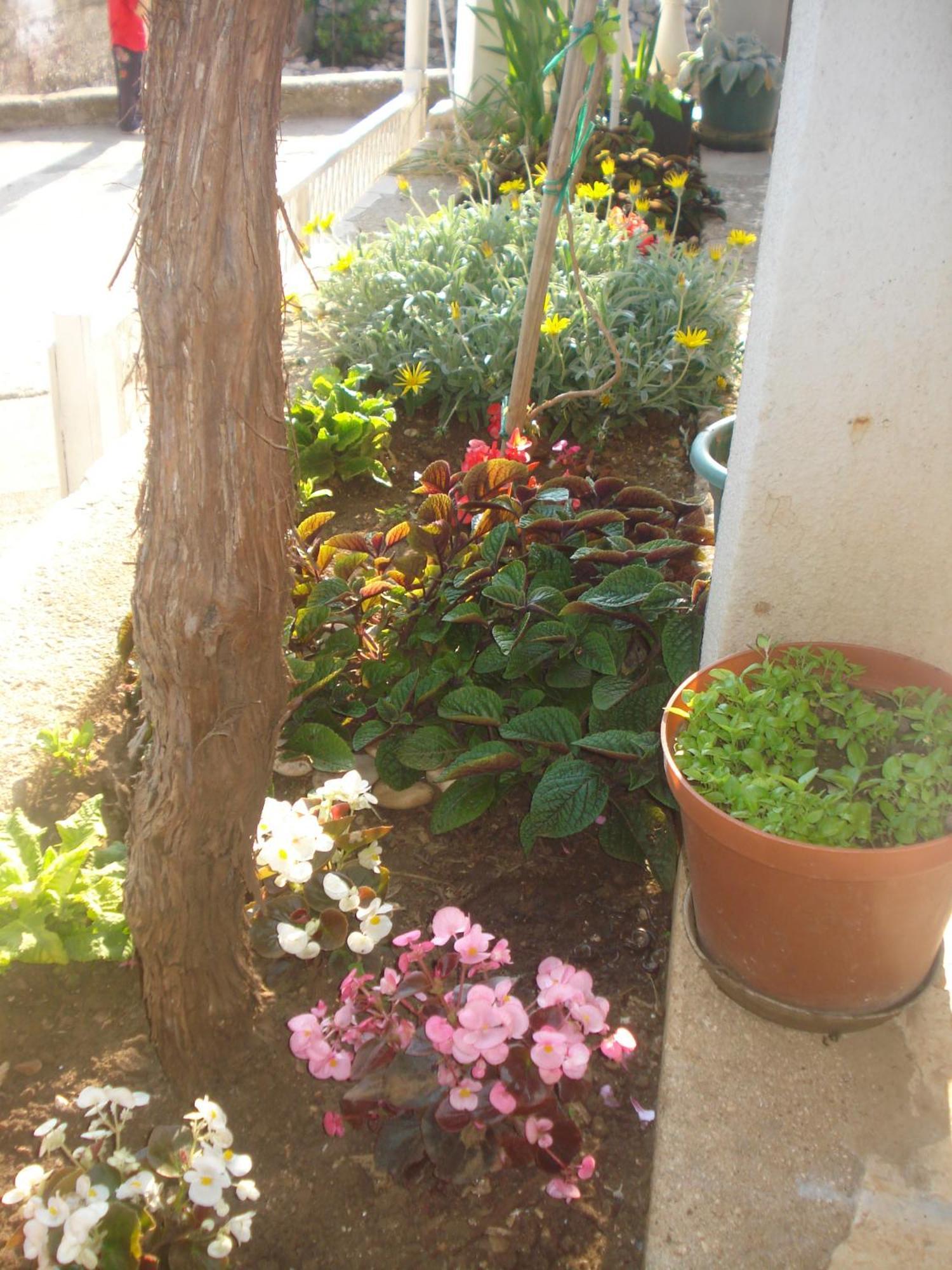 Apartment San Giorgio *