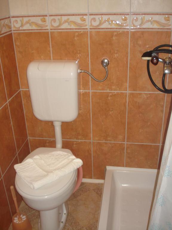 Apartment San Giorgio Sucuraj